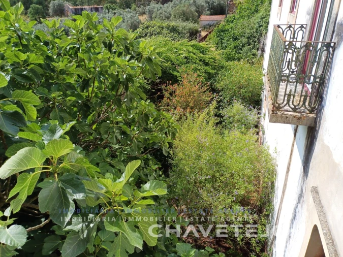 Quinta T10 para Venda em Cernache do Bonjardim, Nesperal e Palhais Foto 73
