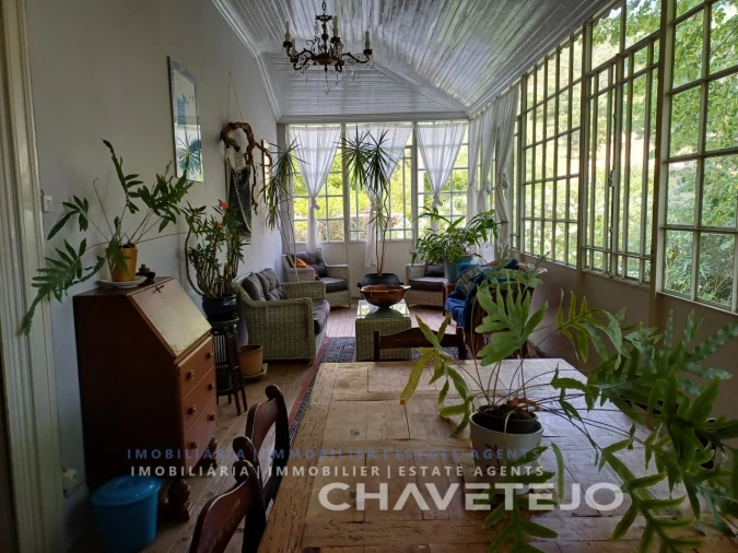 Quinta T10 para Venda em Cernache do Bonjardim, Nesperal e Palhais Foto 92