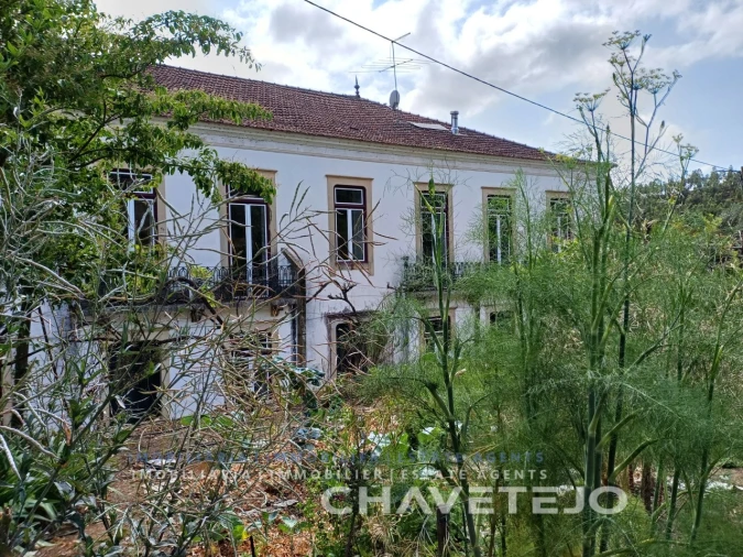 Quinta T10 para Venda em Cernache do Bonjardim, Nesperal e Palhais Foto 96