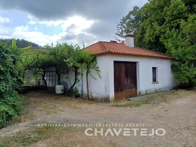 Quinta T10 para Venda em Cernache do Bonjardim, Nesperal e Palhais Foto 98