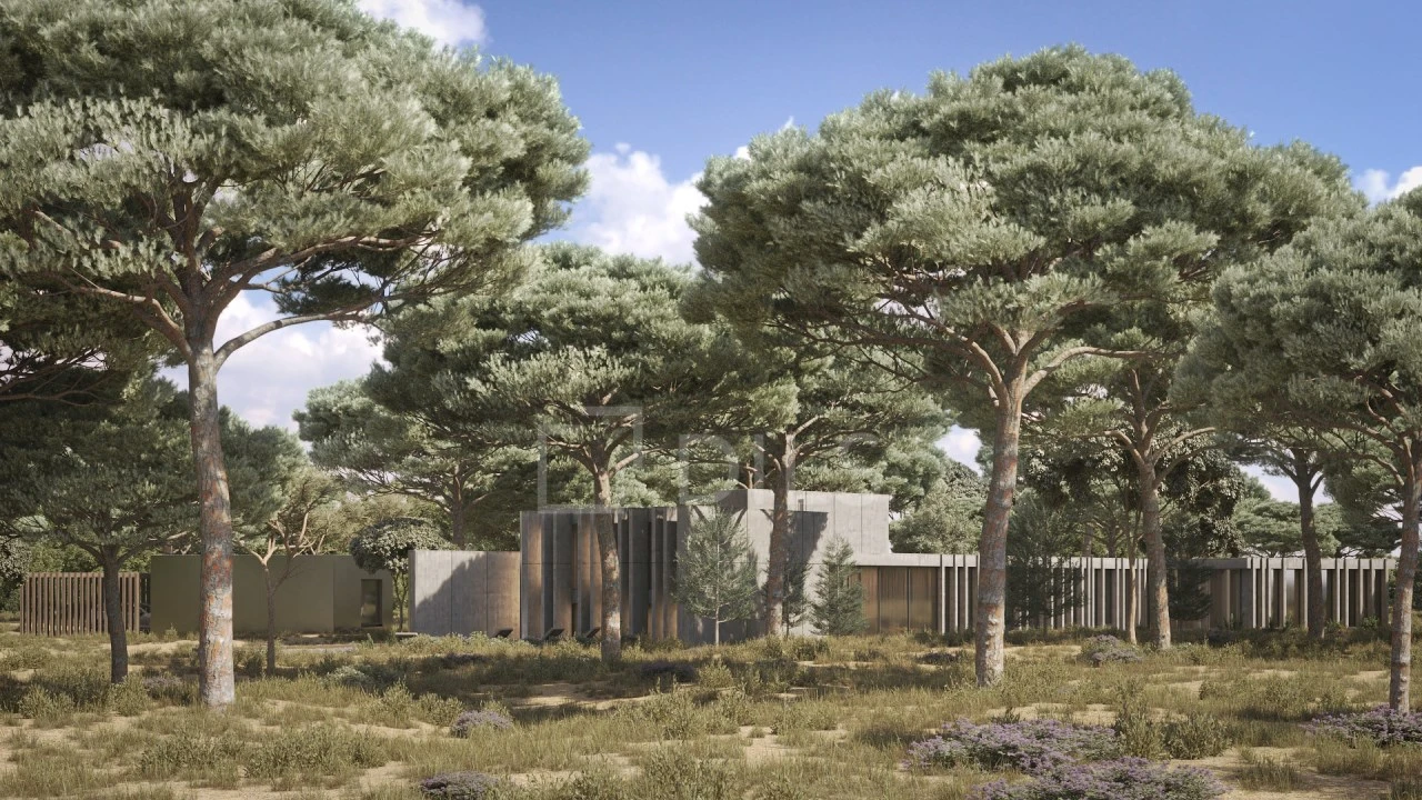 Terreno para Venda em Comporta Foto 5