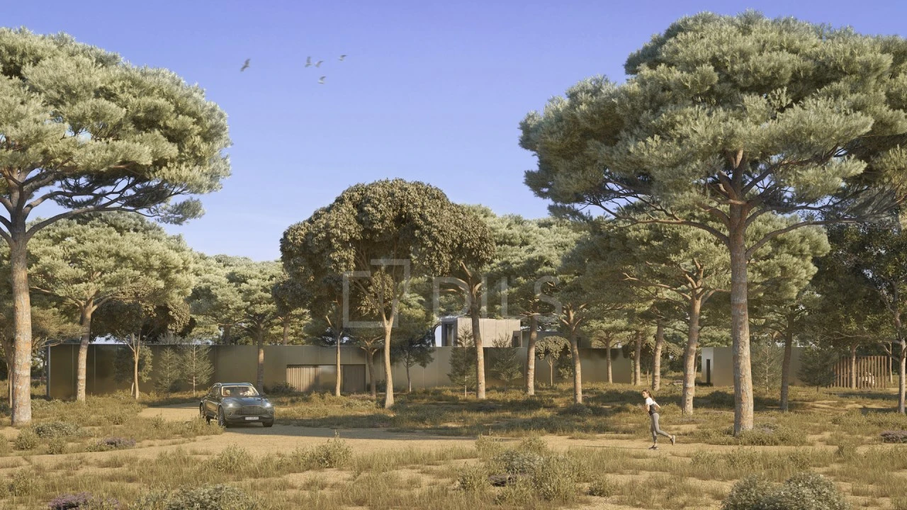 Terreno para Venda em Comporta Foto 10