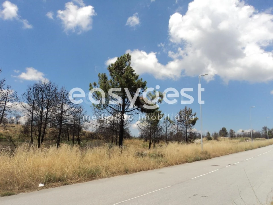 Terreno Comércio / Armazém para Venda em Carlão e Amieiro Foto 2