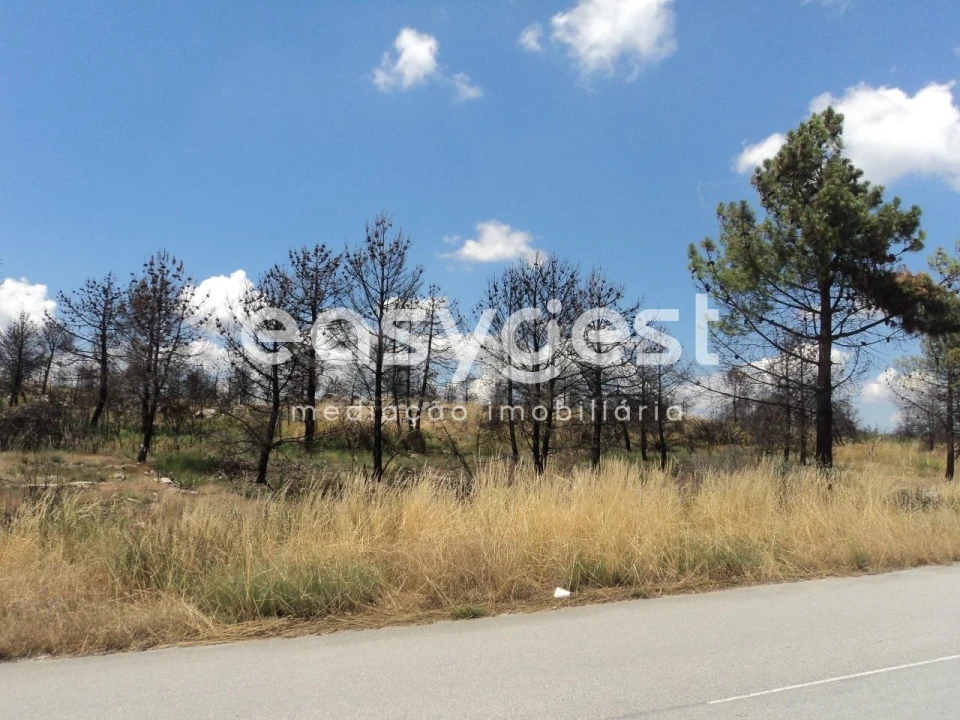 Terreno Comércio / Armazém para Venda em Carlão e Amieiro Foto 3