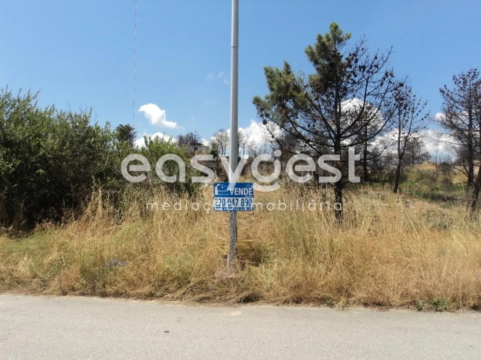Terreno Comércio / Armazém para Venda em Carlão e Amieiro Foto 6