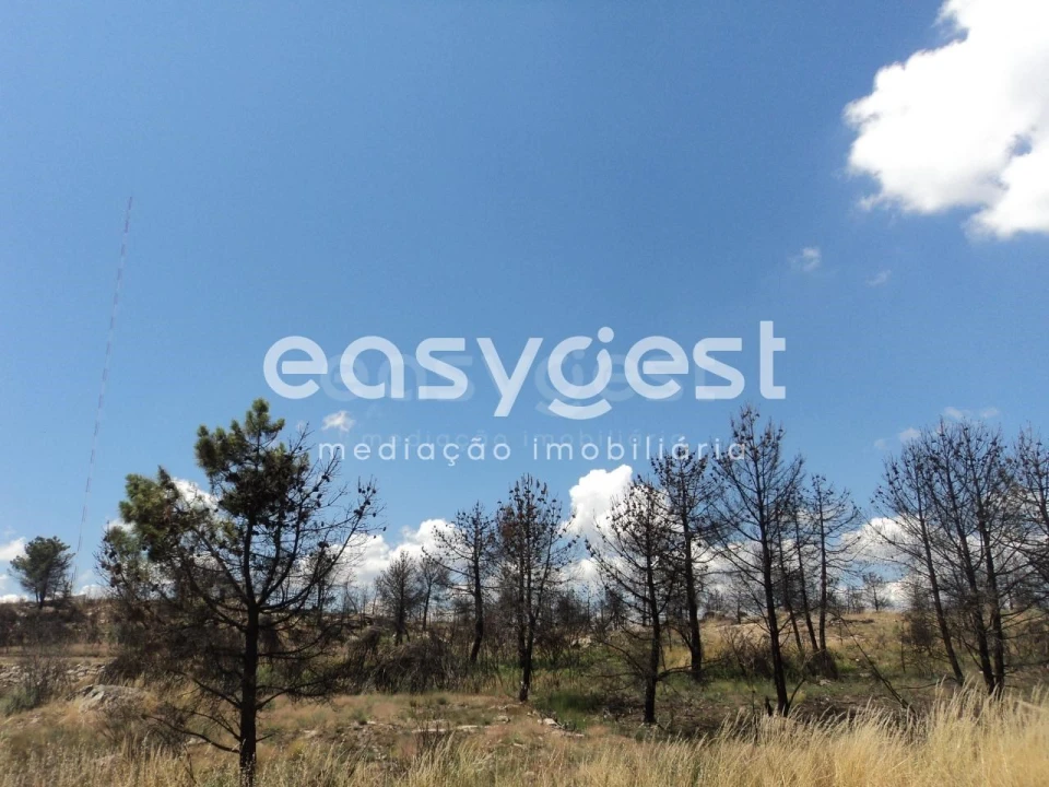 Terreno Comércio / Armazém para Venda em Carlão e Amieiro Foto 7