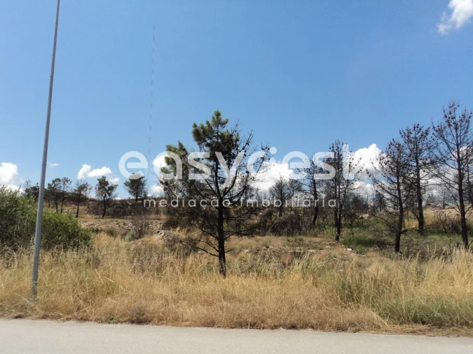 Terreno Comércio / Armazém para Venda em Carlão e Amieiro Foto 4
