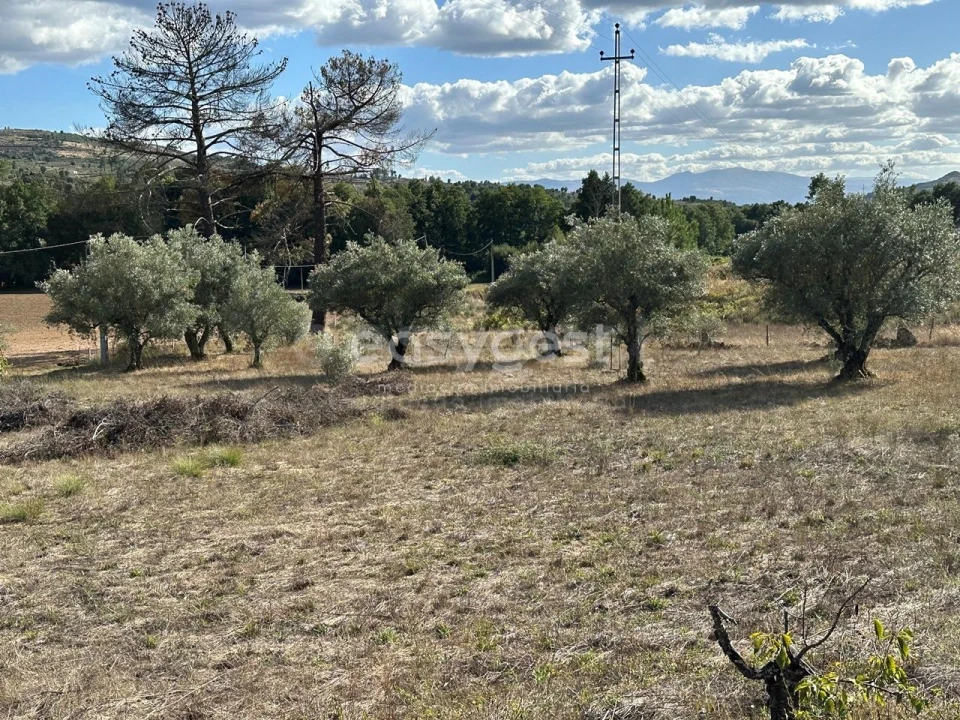 Quinta T3 para Venda em Aldeia Nova Foto 24