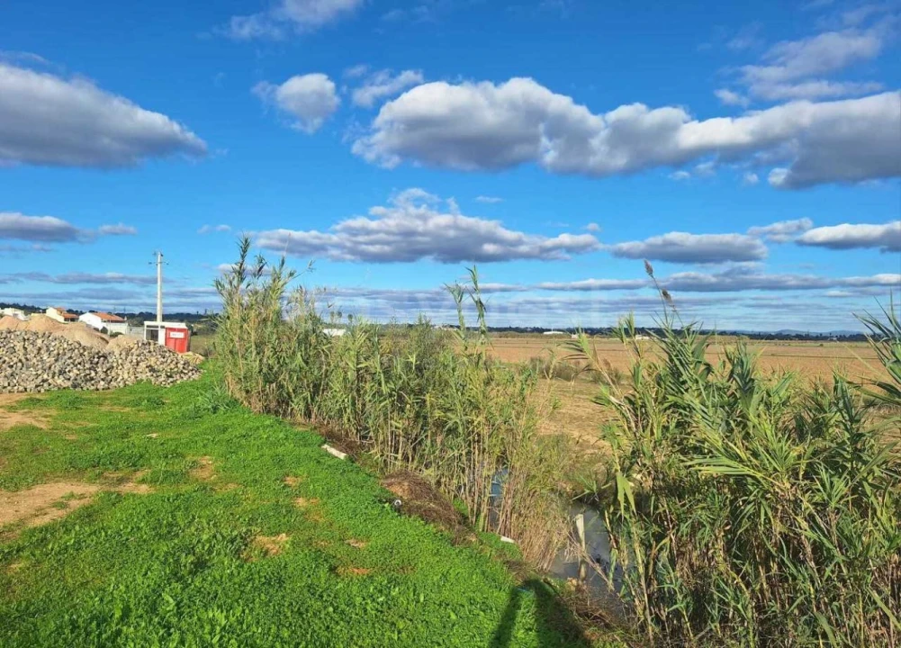 Terreno para Venda em Lagoa e Carvoeiro Foto 3