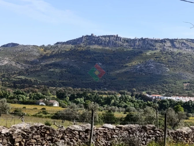 Quinta T4 para Venda em São Salvador da Aramenha Foto 11