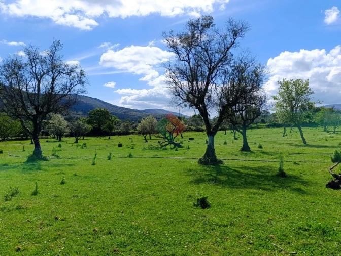Quinta T4 para Venda em São Salvador da Aramenha Foto 27