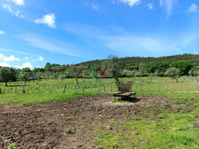 Quinta T4 para Venda em São Salvador da Aramenha Foto 29