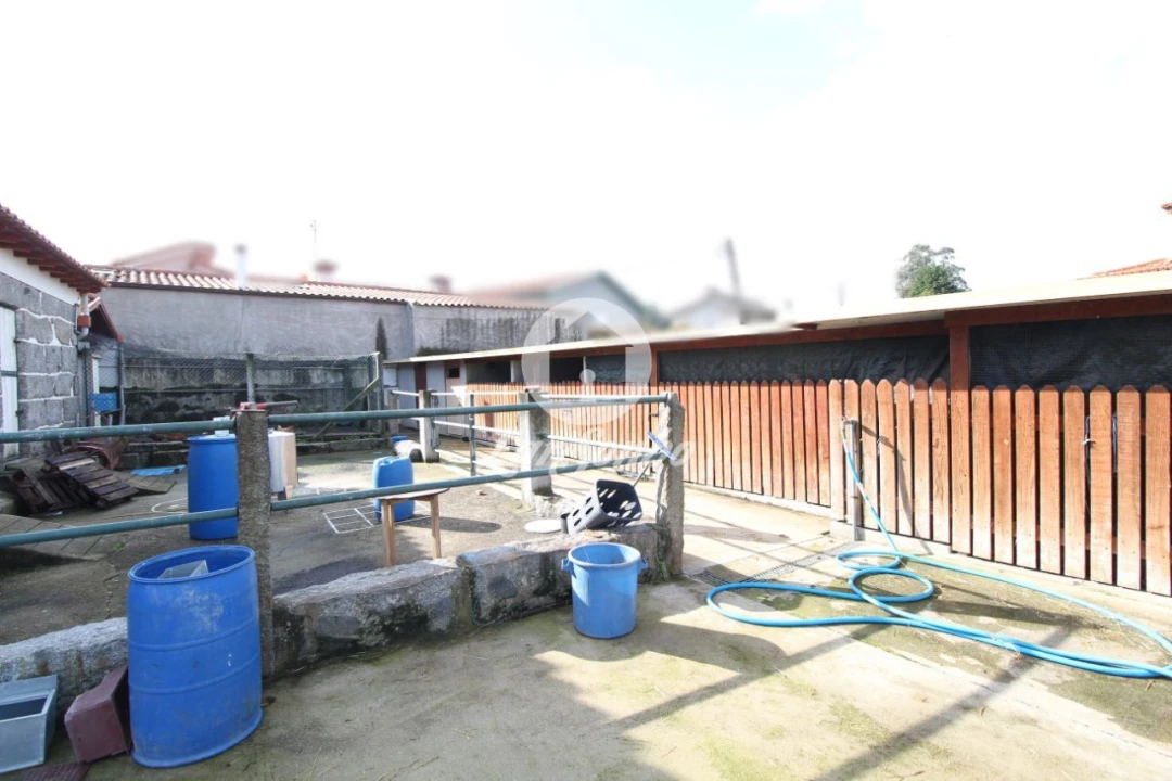 Quinta T3 para Venda em Seide Foto 22