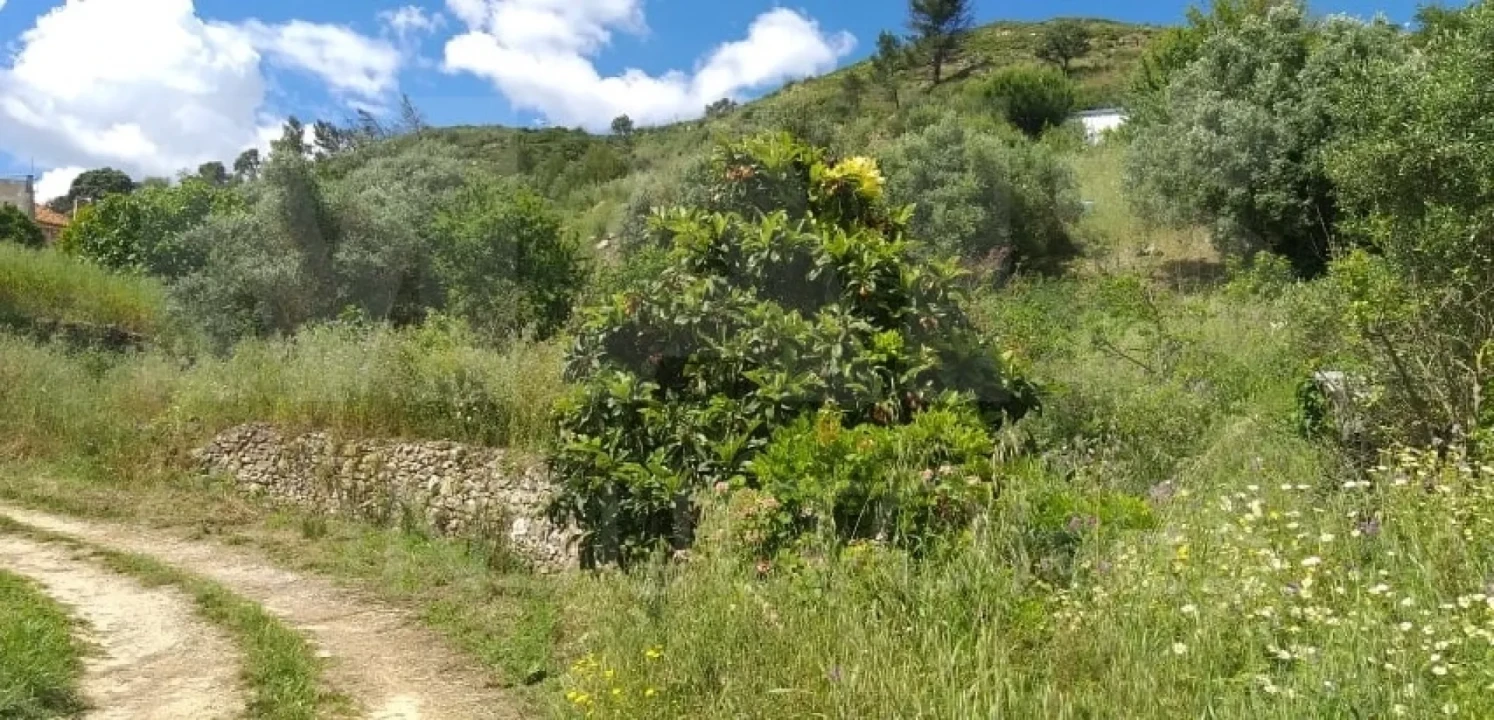 Terreno para Venda em Alverca do Ribatejo e Sobralinho Foto 3