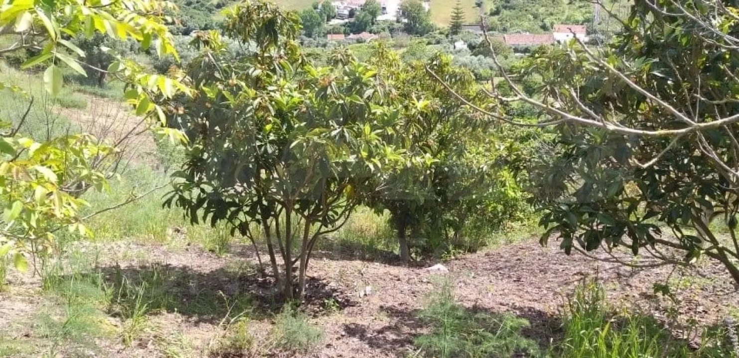 Terreno para Venda em Alverca do Ribatejo e Sobralinho Foto 2
