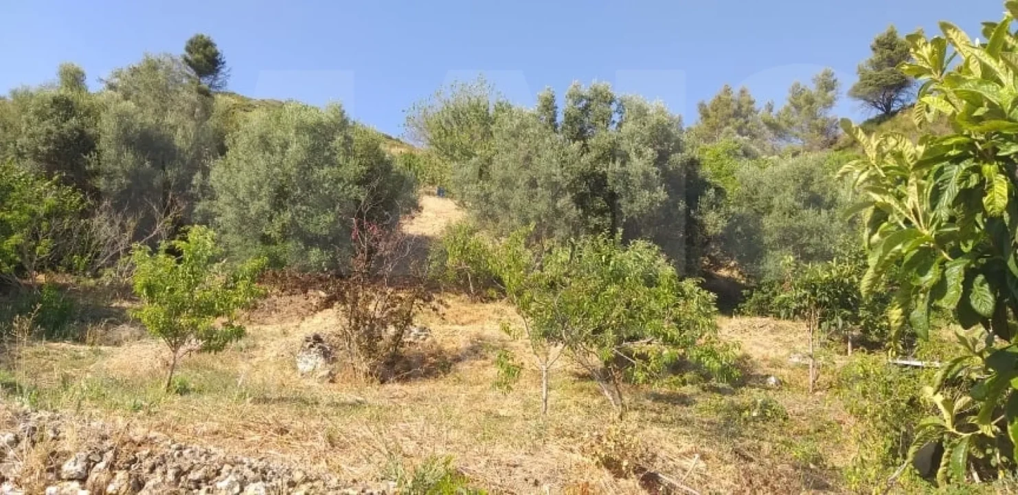 Terreno para Venda em Alverca do Ribatejo e Sobralinho Foto 4
