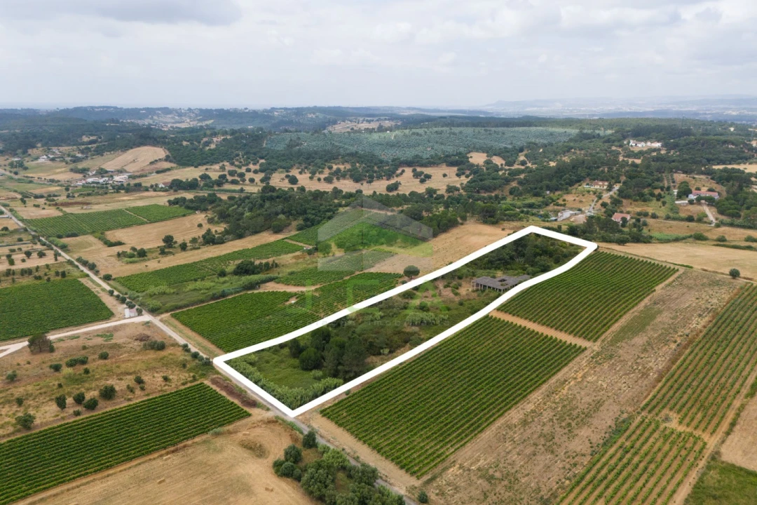 Terreno para Venda em Azambuja Foto 6