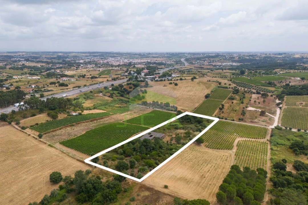 Terreno para Venda em Azambuja Foto 13