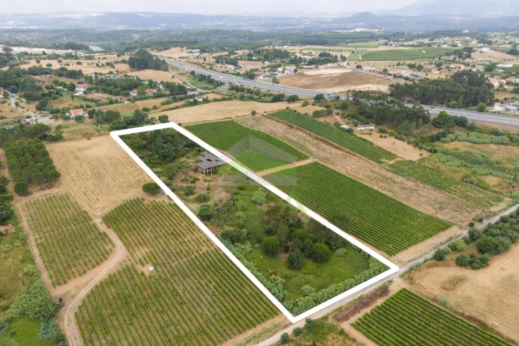 Terreno para Venda em Azambuja Foto 2