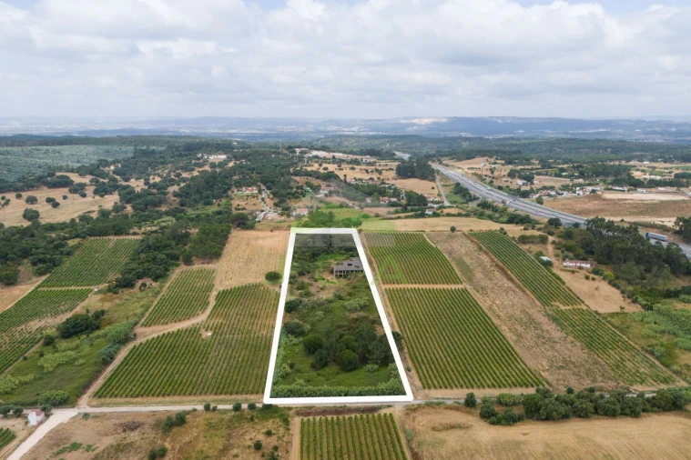 Terreno para Venda em Azambuja Foto 4