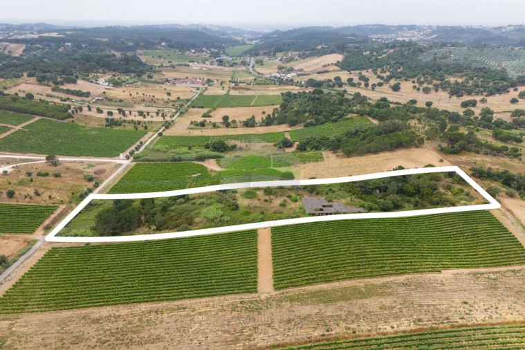Terreno para Venda em Azambuja Foto 8