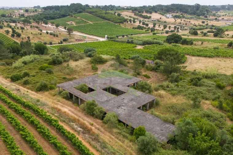 Terreno para Venda em Azambuja Foto 23