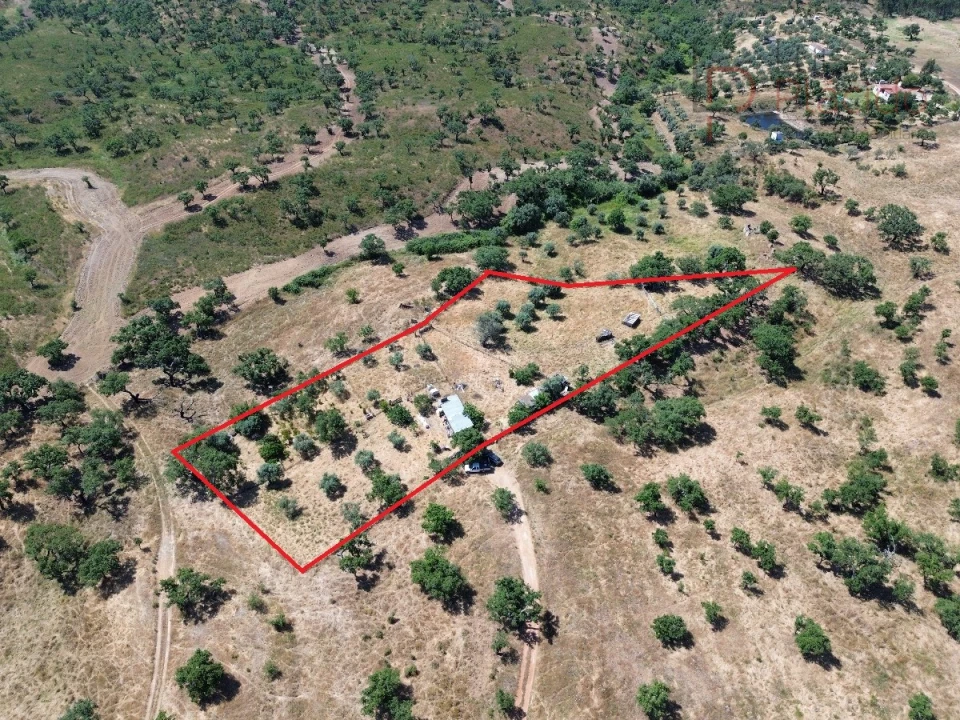 Quinta para Venda em Abela Foto 1