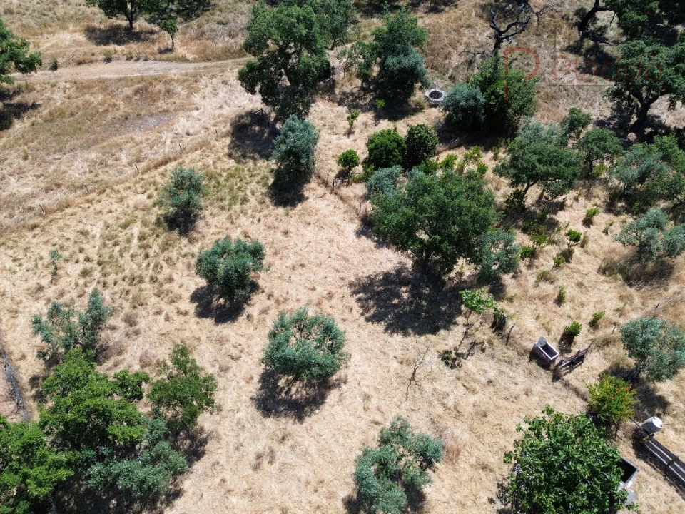 Quinta para Venda em Abela Foto 5