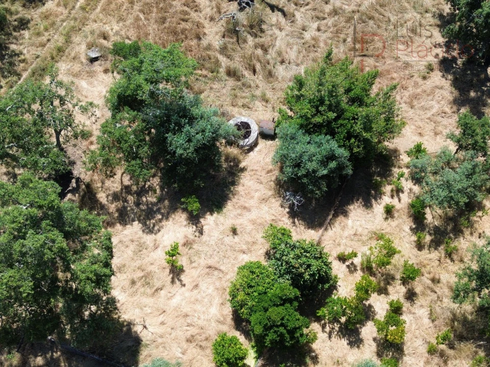Quinta para Venda em Abela Foto 6