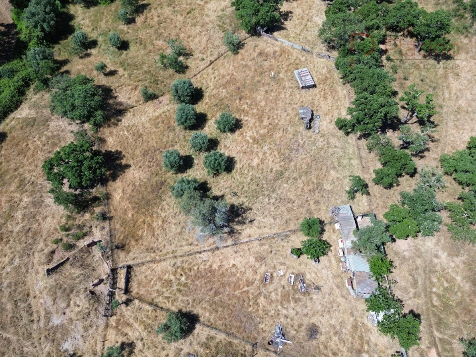 Quinta para Venda em Abela Foto 9