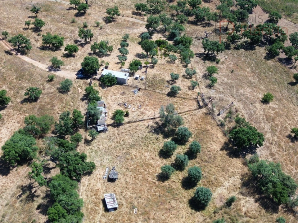 Quinta para Venda em Abela Foto 11