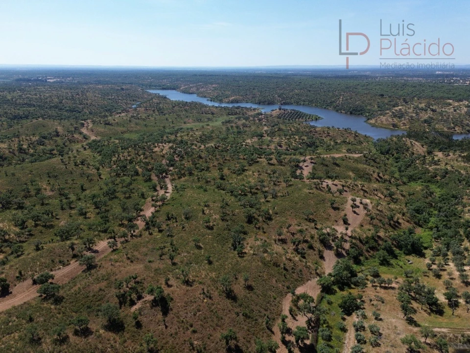Quinta para Venda em Abela Foto 14