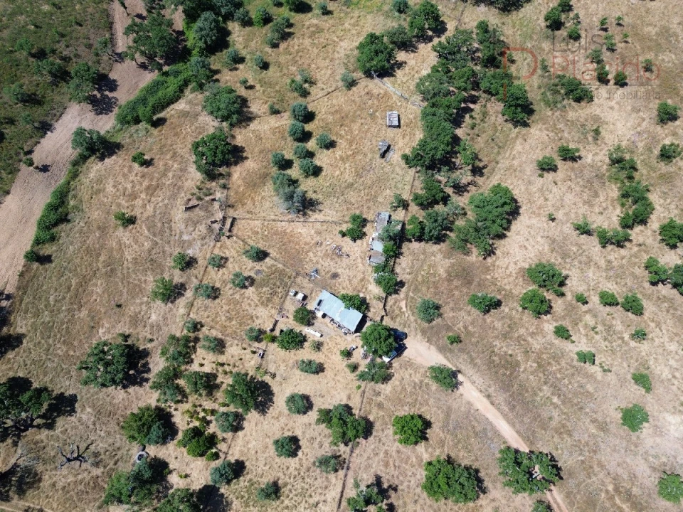 Quinta para Venda em Abela Foto 17
