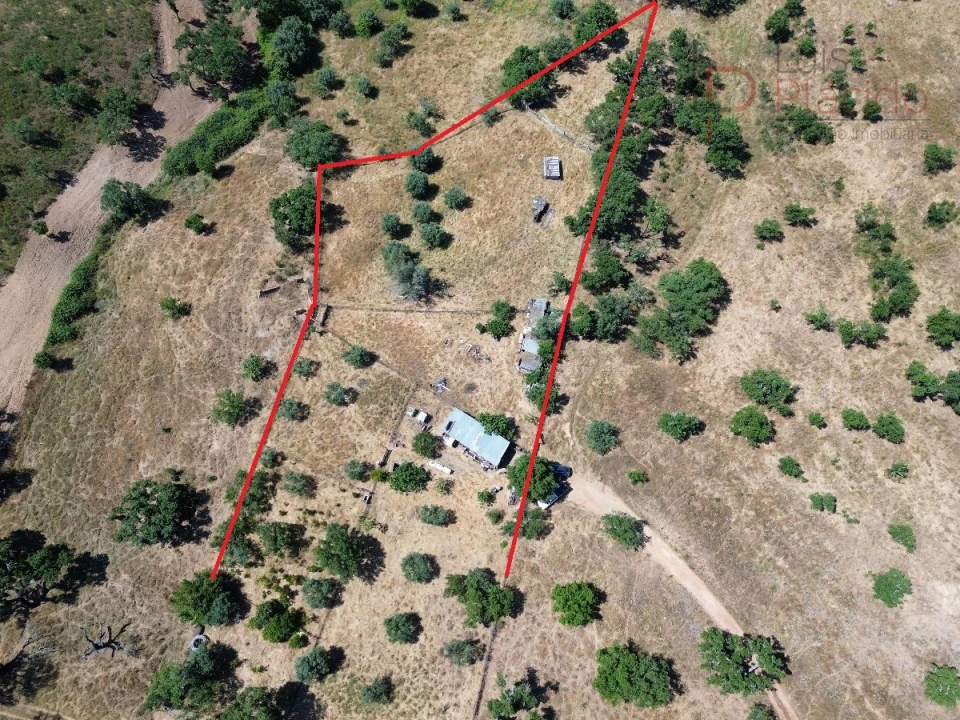 Quinta para Venda em Abela Foto 18