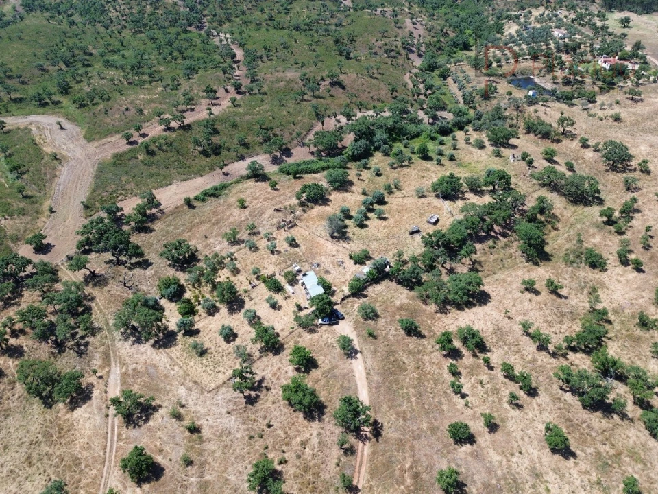 Quinta para Venda em Abela Foto 19