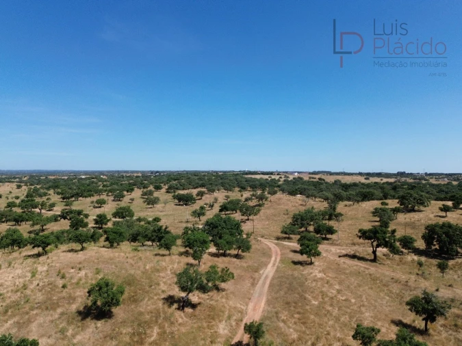 Quinta para Venda em Abela Foto 2