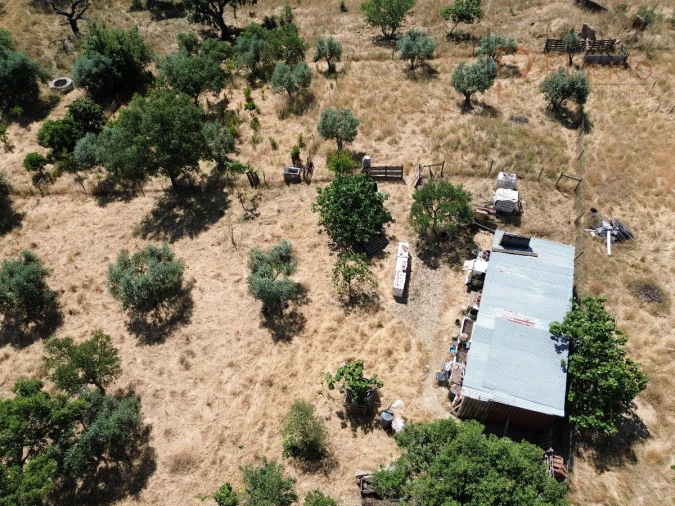 Quinta para Venda em Abela Foto 4