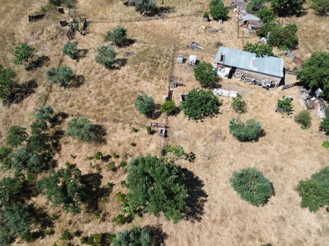 Quinta para Venda em Abela Foto 7