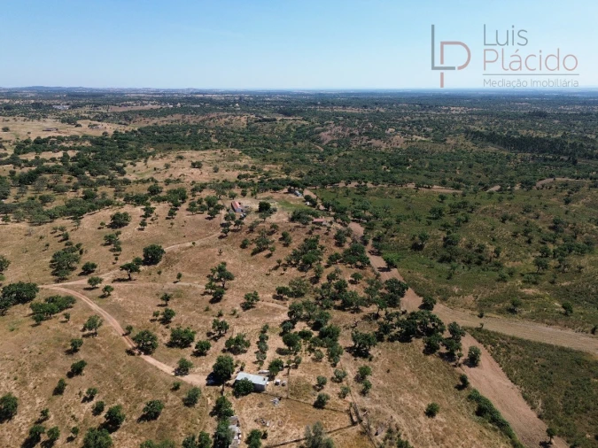 Quinta para Venda em Abela Foto 13