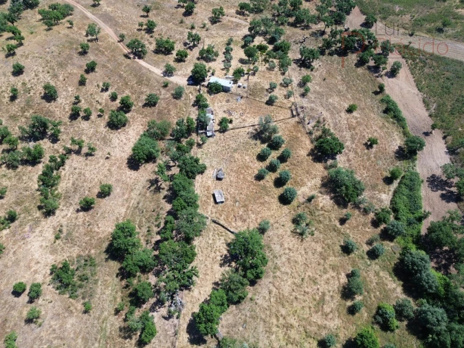 Quinta para Venda em Abela Foto 15