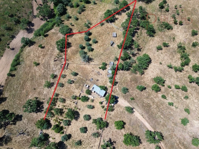 Quinta para Venda em Abela Foto 18