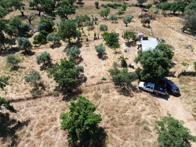 Quinta para Venda em Abela Foto 20