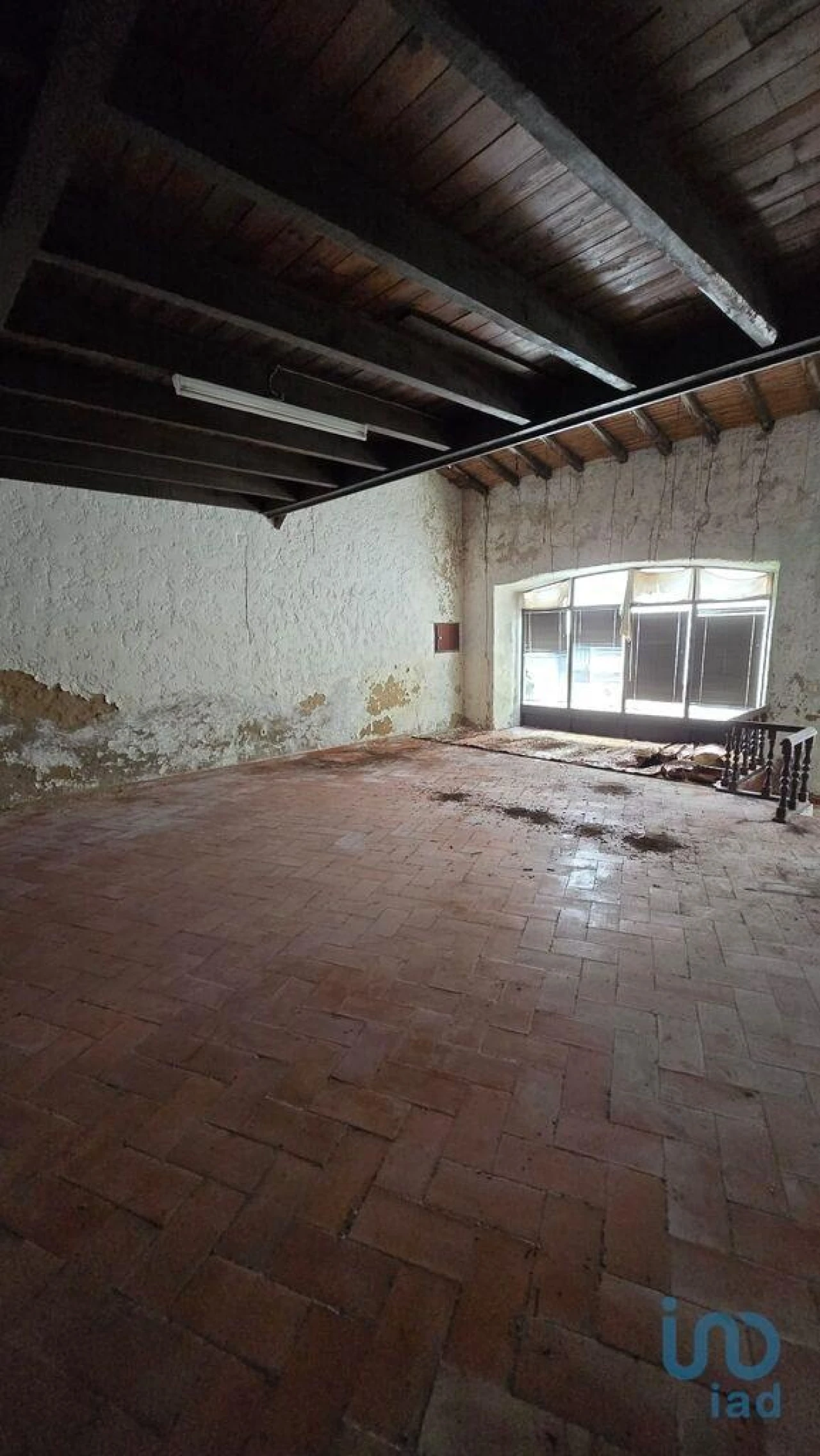 Loja para Venda em Loule (São Sebastião) Foto 11