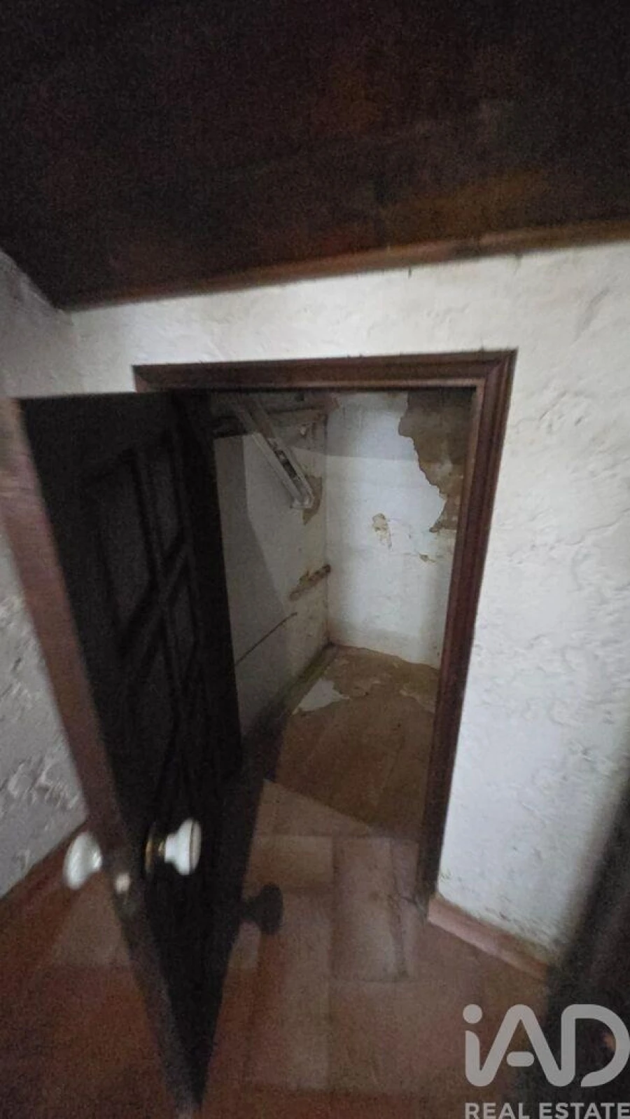 Loja para Venda em Loule (São Sebastião) Foto 15