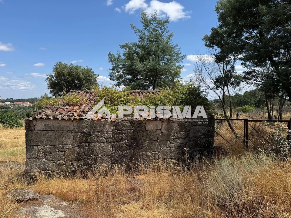 Terreno para Venda em Louriçal do Campo Foto 13