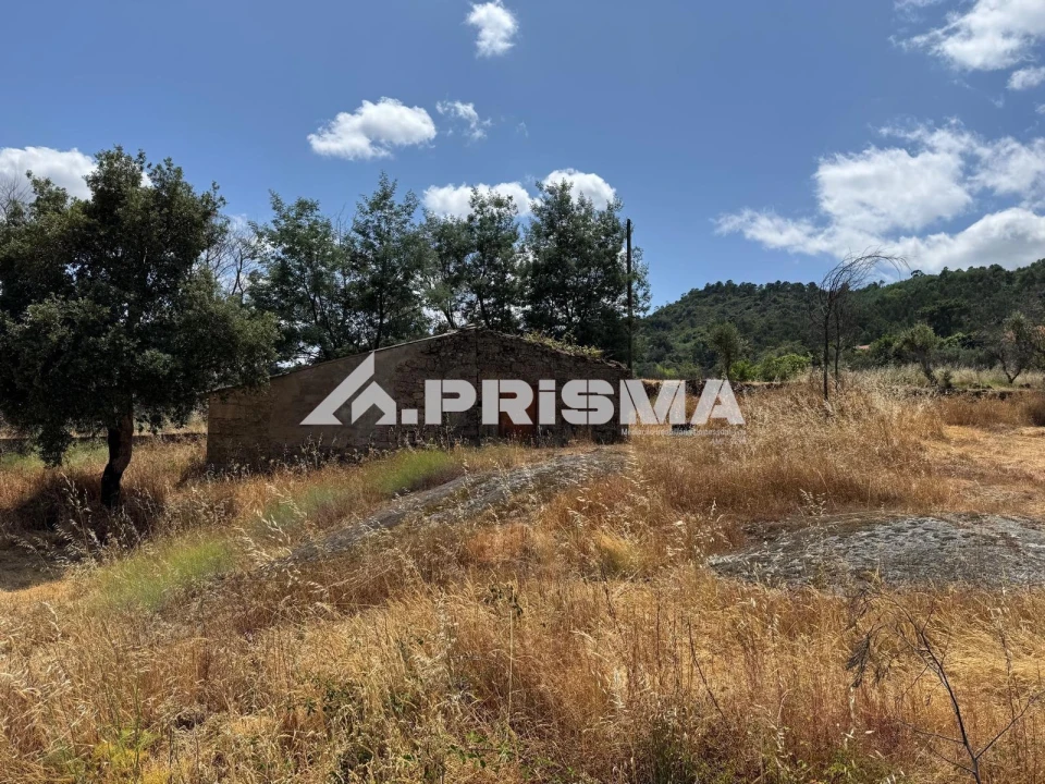 Terreno para Venda em Louriçal do Campo Foto 21