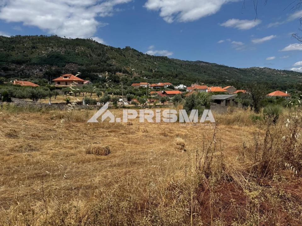 Terreno para Venda em Louriçal do Campo Foto 14