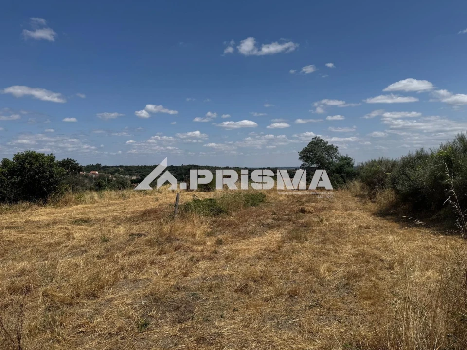 Terreno para Venda em Louriçal do Campo Foto 10