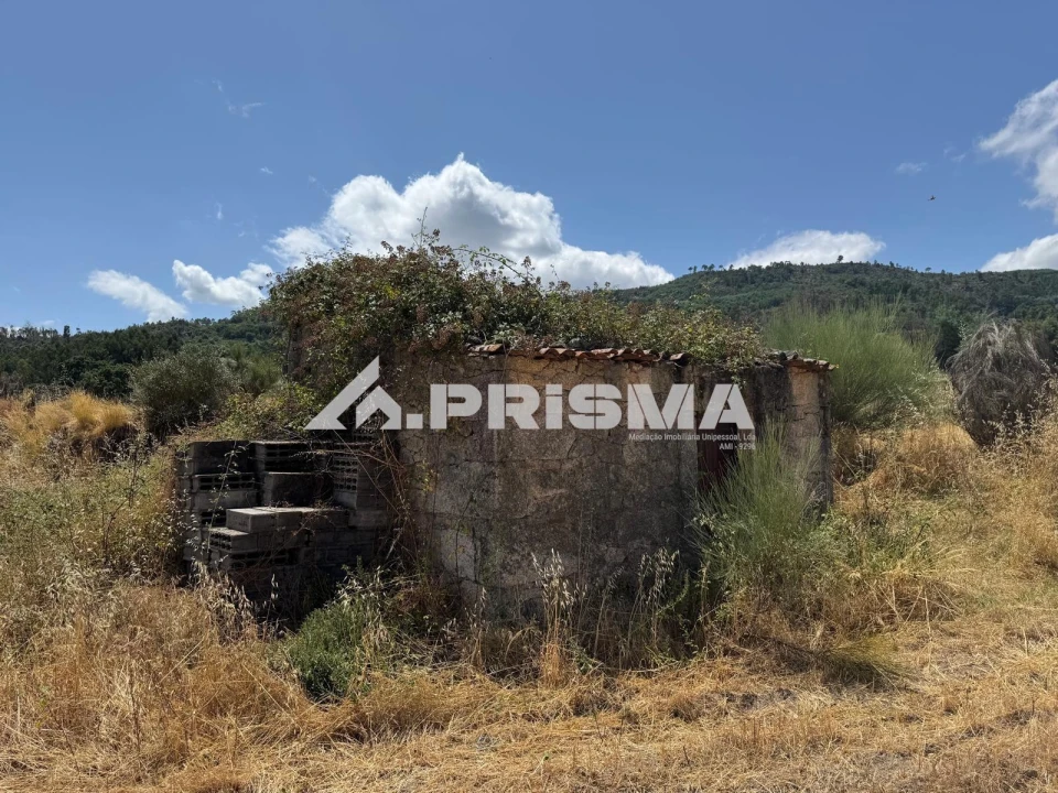 Terreno para Venda em Louriçal do Campo Foto 9