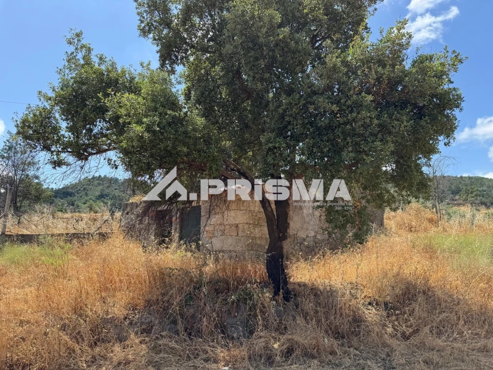 Terreno para Venda em Louriçal do Campo Foto 11